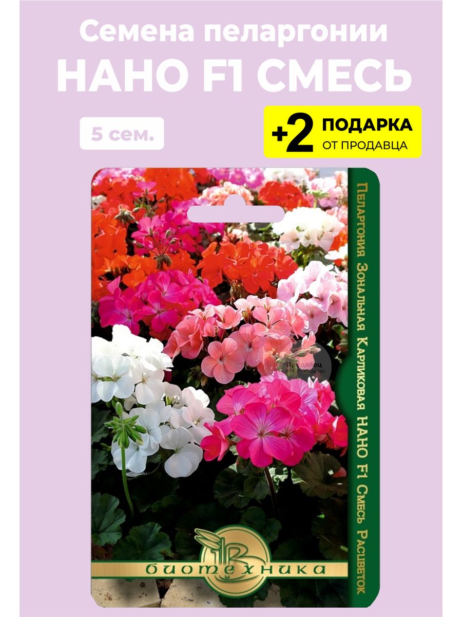 Нано семена. Пеларгония зональная карликовая нано f1. Пеларгония зональная карликовая нано f1 ред. Пеларгония зональная карликовая нано f1 смесь. Пеларгония зональная карликовая нано f1 эплблоссом.