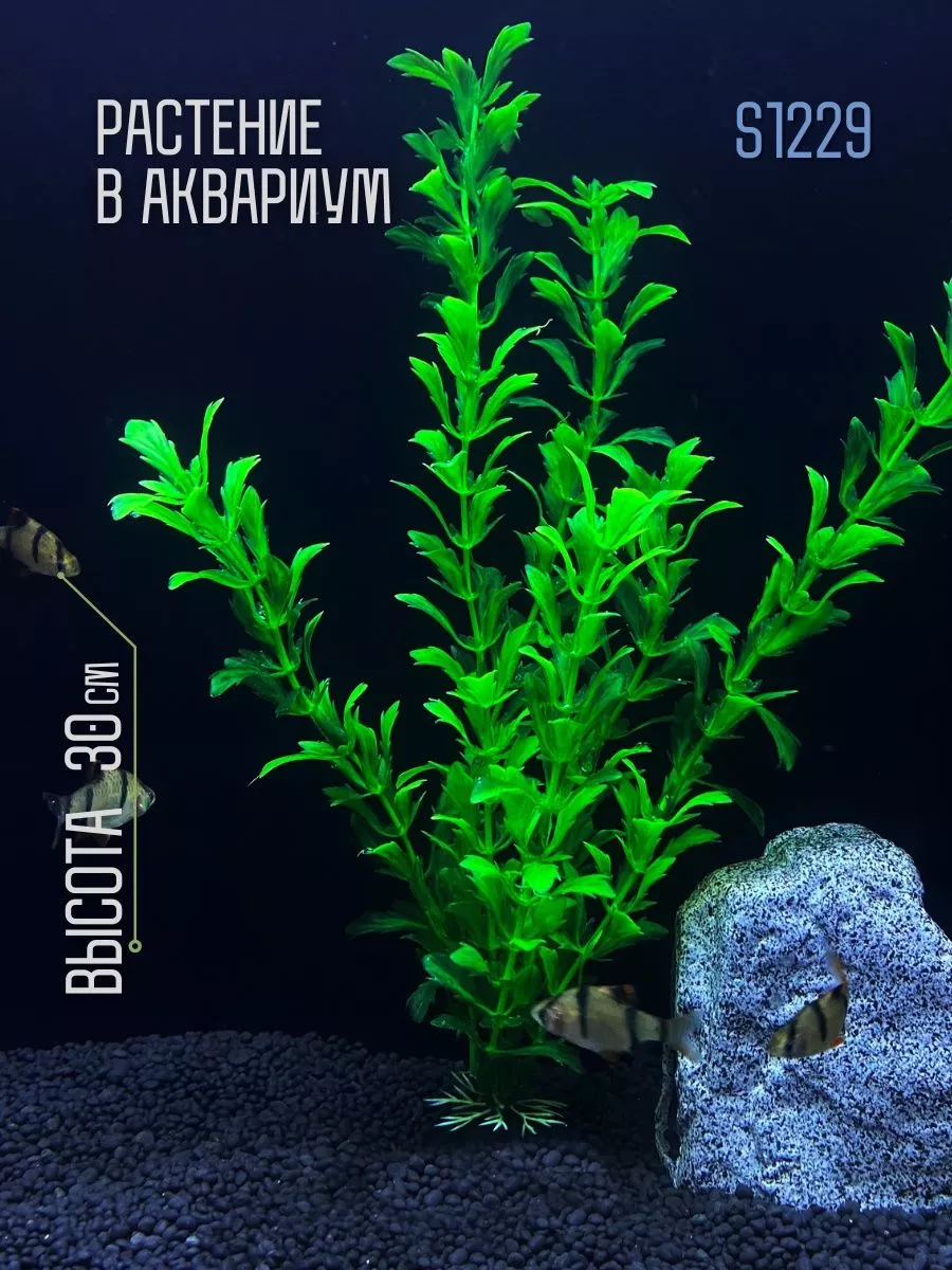 Растение для аквариума искусственное S1229 ZooAqua 174410379 купить за 306  ₽ в интернет-магазине Wildberries