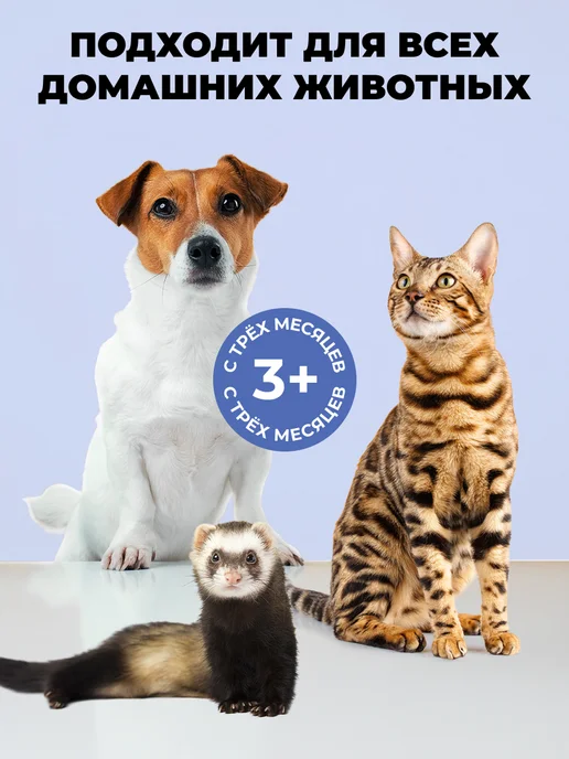 Spets Шампунь от блох и клещей для кошек и собак 1 л, 1 л, фото 7