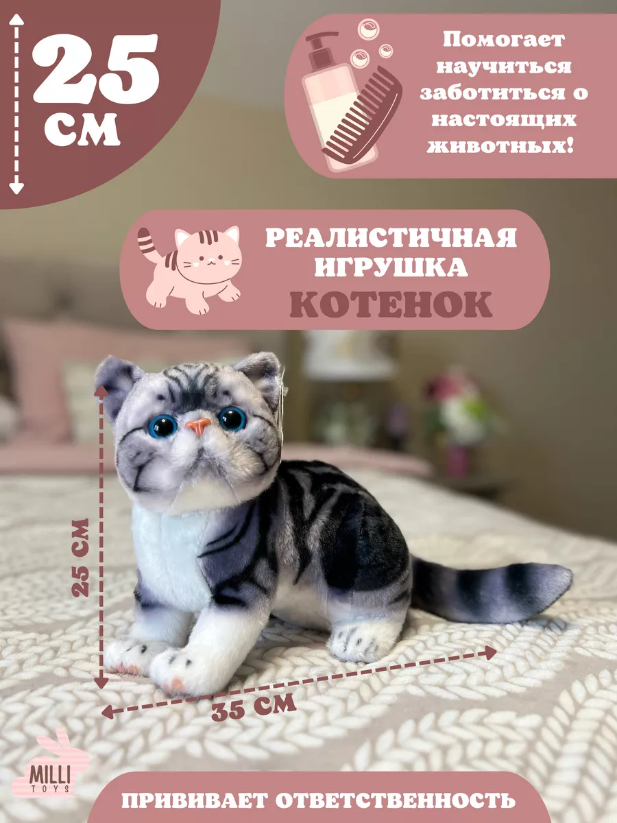 Мягкая игрушка кот плюшевая кошка Milli toys 174448511 купить за 1 036 ₽ в  интернет-магазине Wildberries