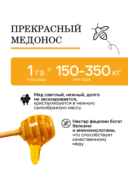 Природа Мёда Семена фацелии пижмолистной 1 кг, урожай 2026 года, 5 кг, фото 3