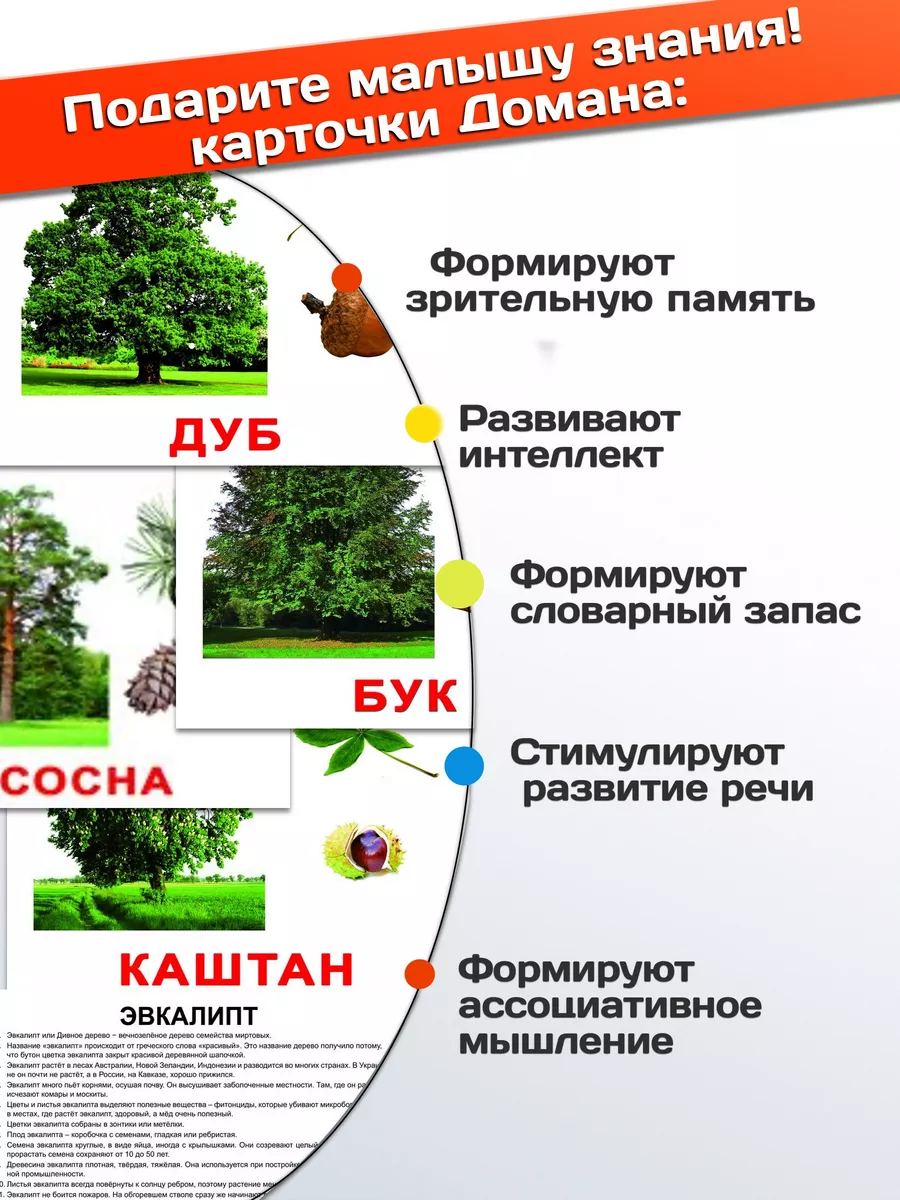 Обучающие карточки Домана 