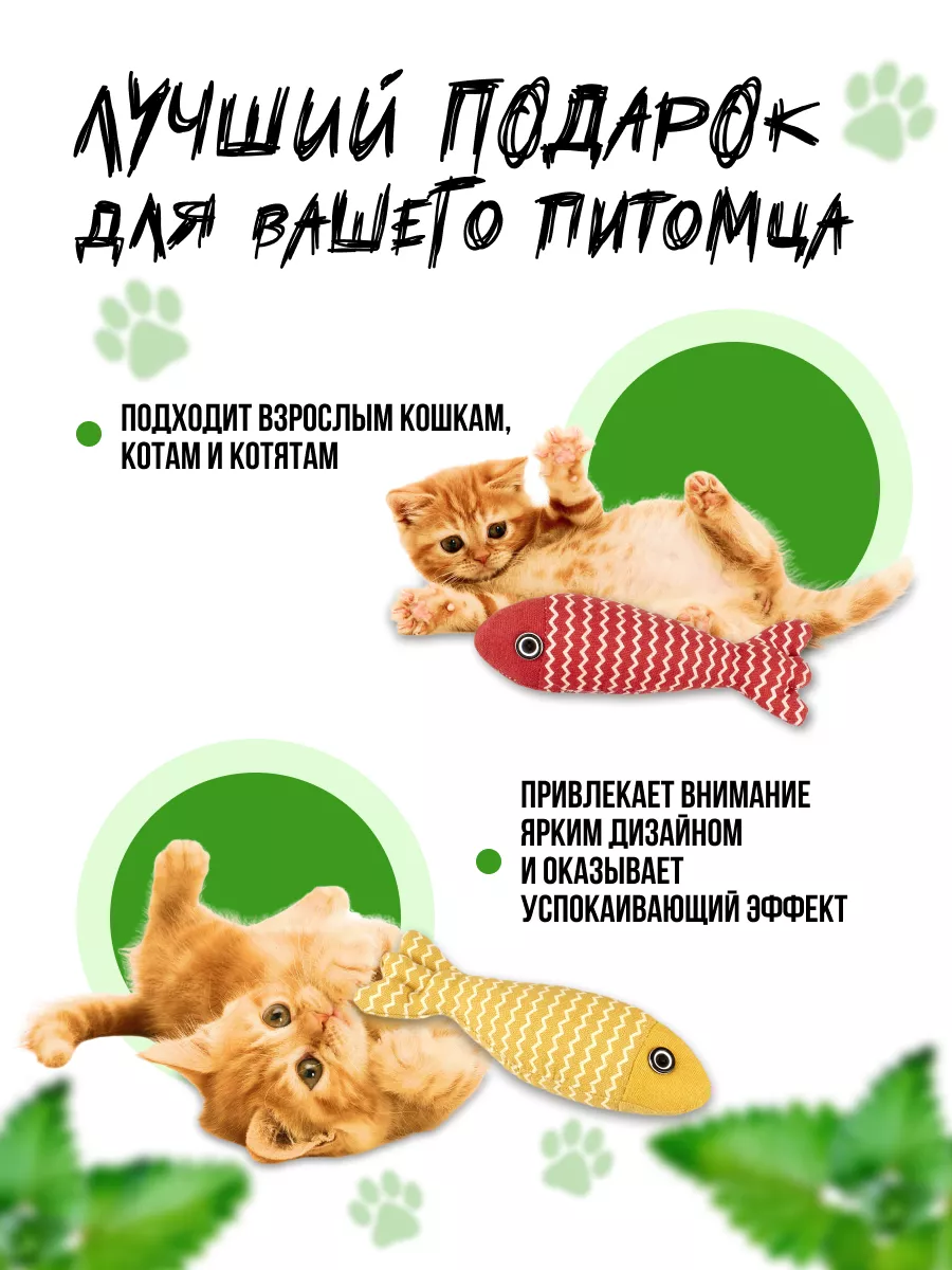 Безопасные игрушки и игры для котят