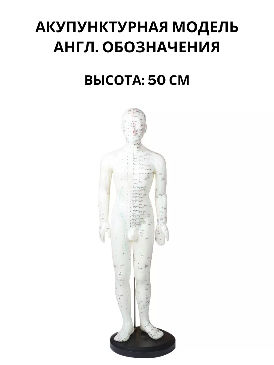 Акупунктурная модель человека 48 см. Силиконовая