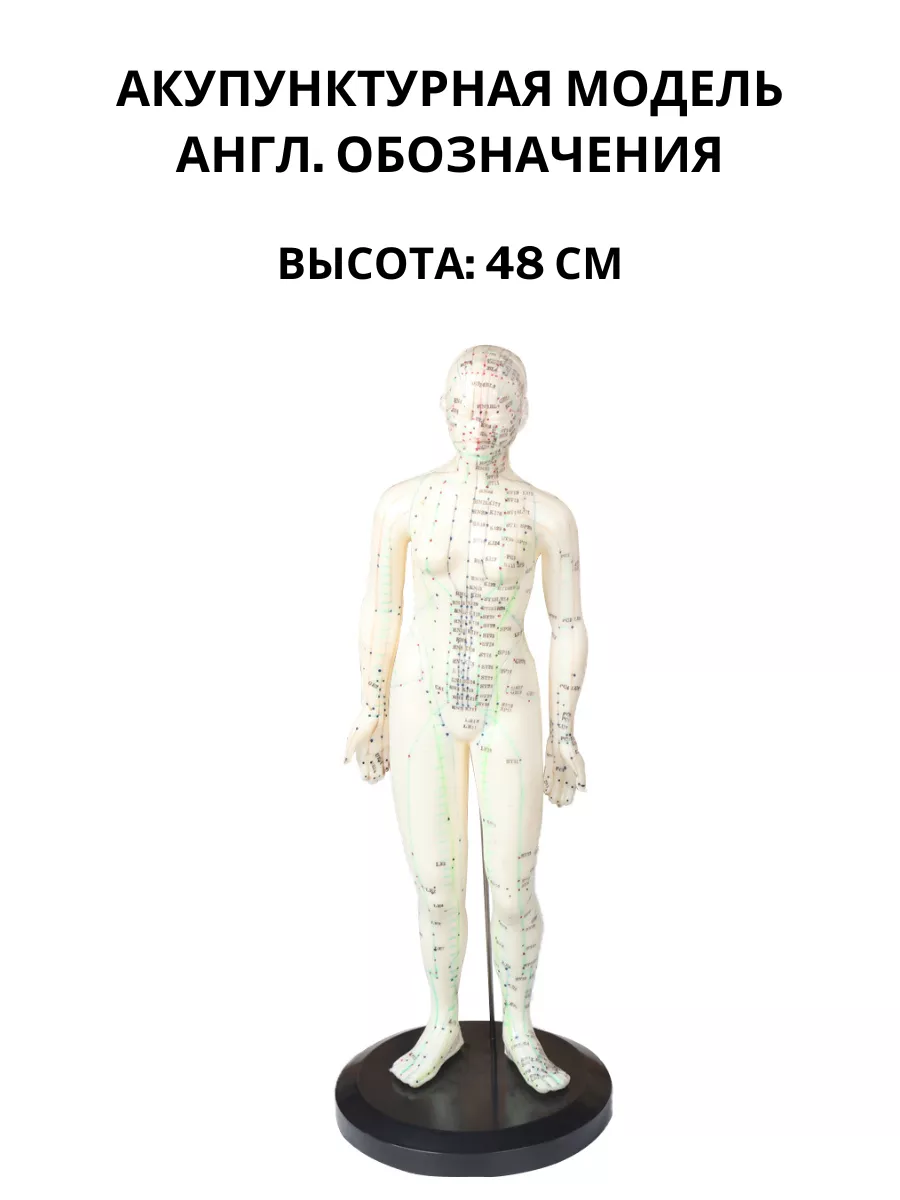 Акупунктурная модель человека 48 см. Силиконовая
