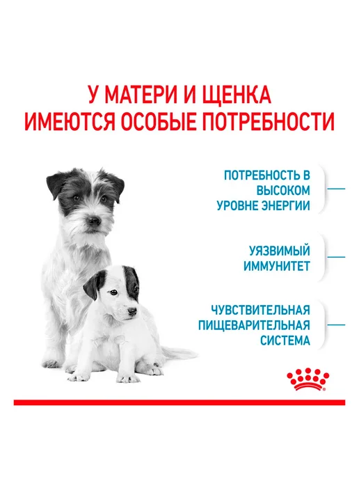 Сухой корм Royal canin Starter Стартер для собак, мелкие, щенки, 8,5 кг, фото 7