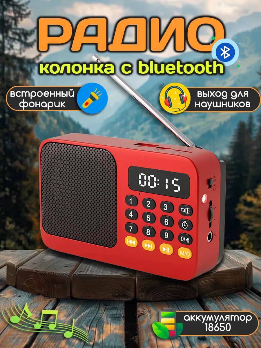 Радиоприемник цифровой мини с флешкой аккумулятором от сети