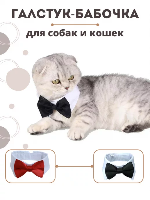 MIRA+ZAK Ошейник с галстуком для животных, черный