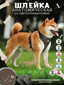 Шлейка для собак средних и крупных пород NicePets 174729592 купить за 560 ₽ в интернет-магазине Wildberries