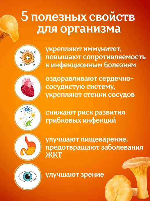 Тайга22 Сушеные грибы лисички 100 грамм, вариант, фото 3