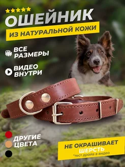 Ошейник для собак и кошек YourPetStore 174794745 купить за 326 ₽ в интернет-магазине Wildberries