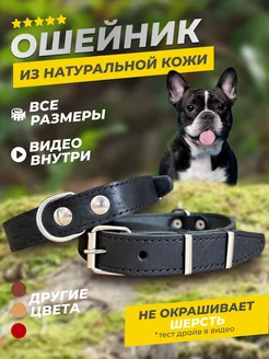 Ошейник для собак и кошек YourPetStore 174794746 купить за 326 ₽ в интернет-магазине Wildberries