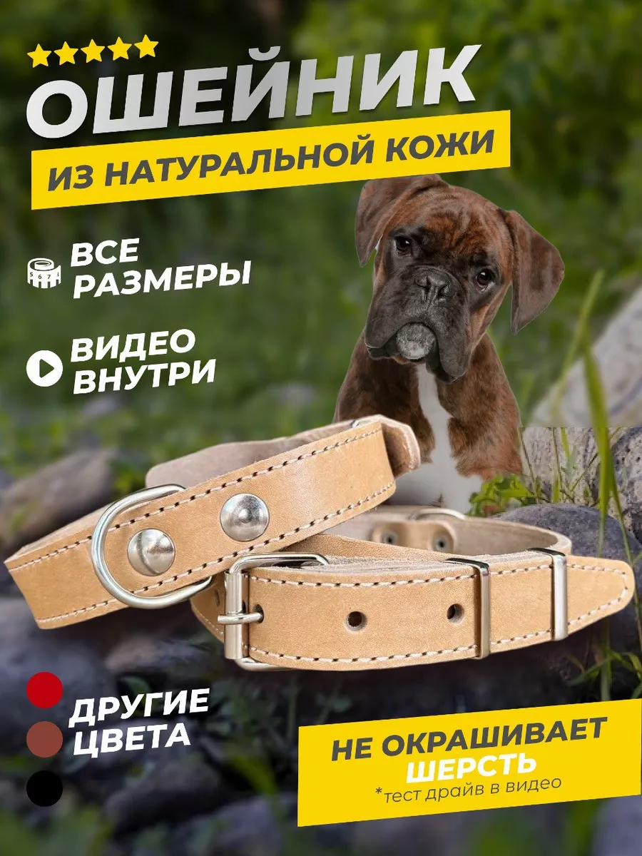 Ошейник для собак и кошек YourPetStore 174794747 купить за 394 ₽ в  интернет-магазине Wildberries