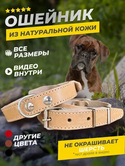 Ошейник для собак и кошек YourPetStore 174794747 купить за 354 ₽ в интернет-магазине Wildberries