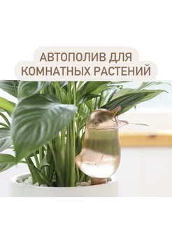 Автополив для комнатных растений 200мл птичка коричневая ALPA home 174807449 купить за 331 ₽ в интернет-магазине Wildberries