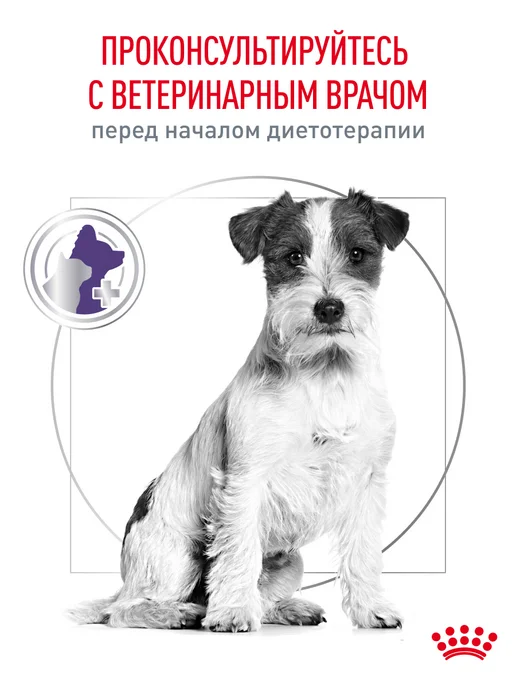 Сухой корм Royal canin для собак, мелкие, стерилизованные, 0,8 кг, фото 8