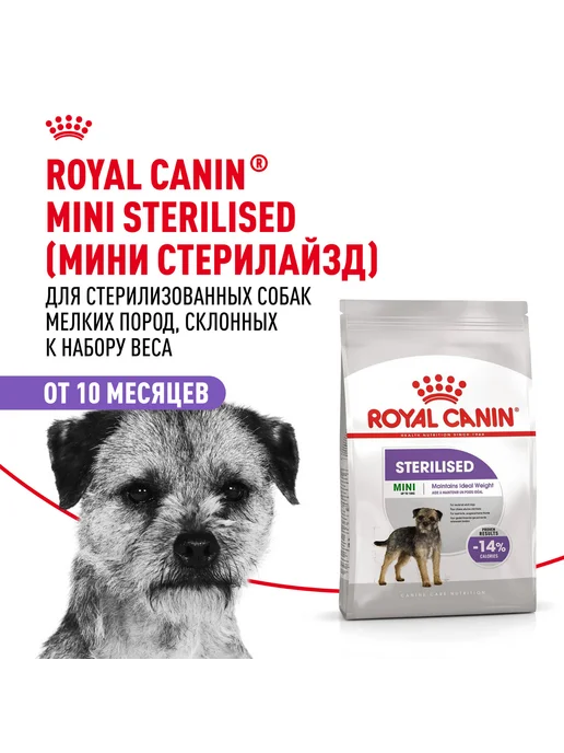 Сухой корм Royal canin Sterilised для собак, мелкие, стерилизованные, 3 кг, фото 2