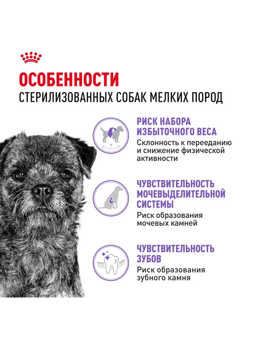 Сухой корм Royal canin Sterilised для собак, мелкие, стерилизованные, 3 кг, фото 4