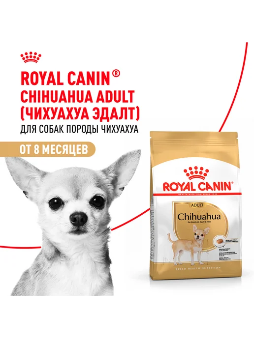 Сухой корм Royal canin Chihuahua Чихуахуа для собак, взрослые, 3 кг, фото 2