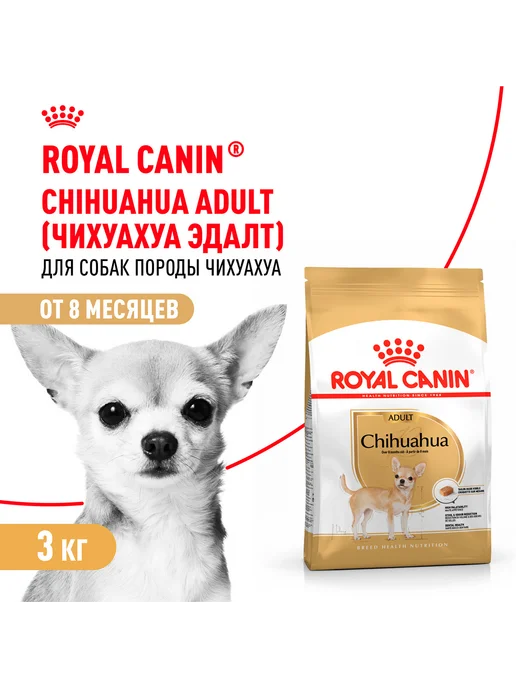 Сухой корм Royal canin Chihuahua Чихуахуа для собак, взрослые, 3 кг, фото 3