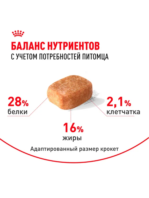 Сухой корм Royal canin Chihuahua Чихуахуа для собак, взрослые, 3 кг, фото 7