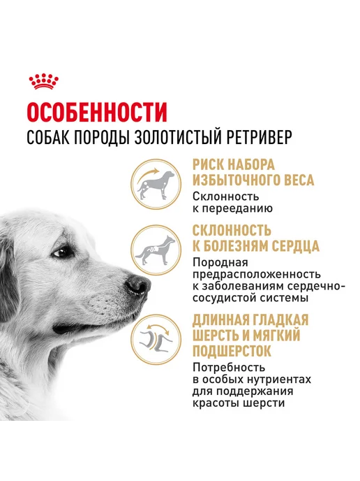 Сухой корм Royal canin Golden Retriever для собак, 3 кг, фото 3