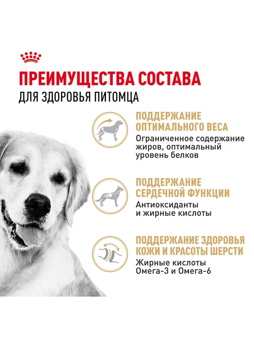 Сухой корм Royal canin Golden Retriever для собак, 3 кг, фото 4