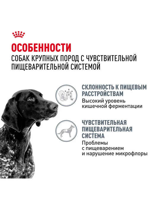 Сухой корм Royal canin Digestive Care для собак, крупные, 3 кг, фото 3