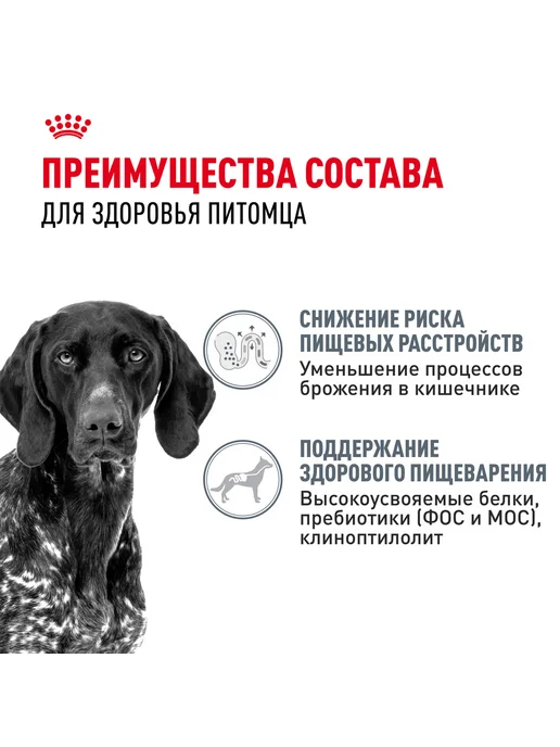 Сухой корм Royal canin Digestive Care для собак, крупные, 3 кг, фото 4