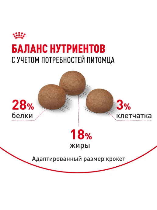 Сухой корм Royal canin Digestive Care для собак, крупные, 3 кг, фото 5
