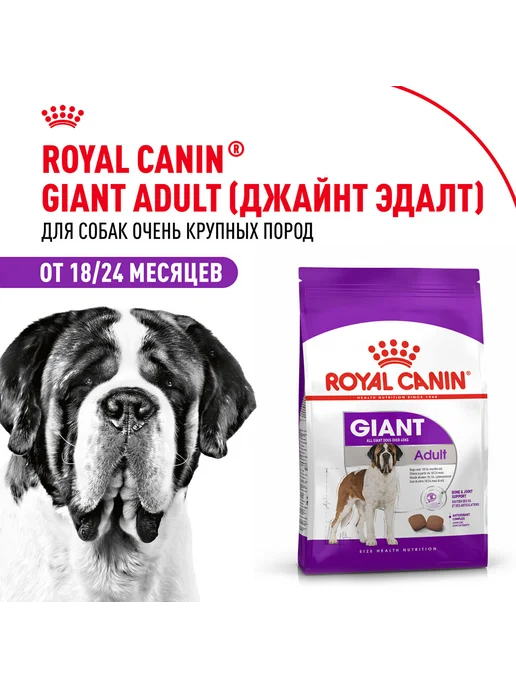 Сухой корм Royal canin для собак, взрослые, крупные, 4 кг, фото 2
