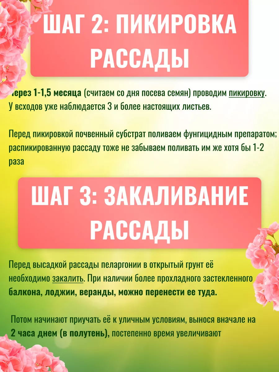 Семена герани Пеларгония Агрофирма Аэлита 174843316 купить за 133 ₽ в  интернет-магазине Wildberries