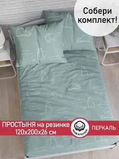 Простынь на резинке 120х200 х26 см перкаль Котики (мята) Сказка. 174849496 купить за 709 ₽ в интернет-магазине Wildberries