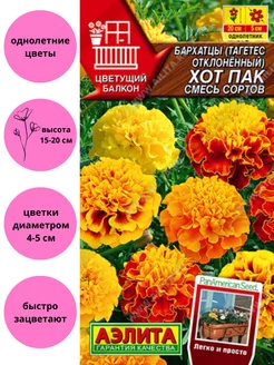 Интернет-магазин Wildberries: широкий ассортимент товаров - скидки каждый день!