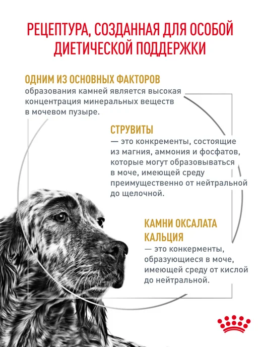 Сухой корм Royal canin Urinary Диетический для собак, 13 кг, фото 2