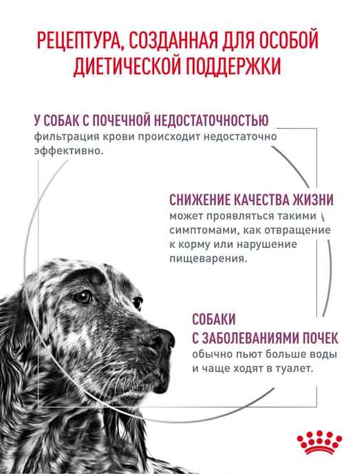 Сухой корм Royal canin Поддержания Почек для собак, 14 кг, фото 2
