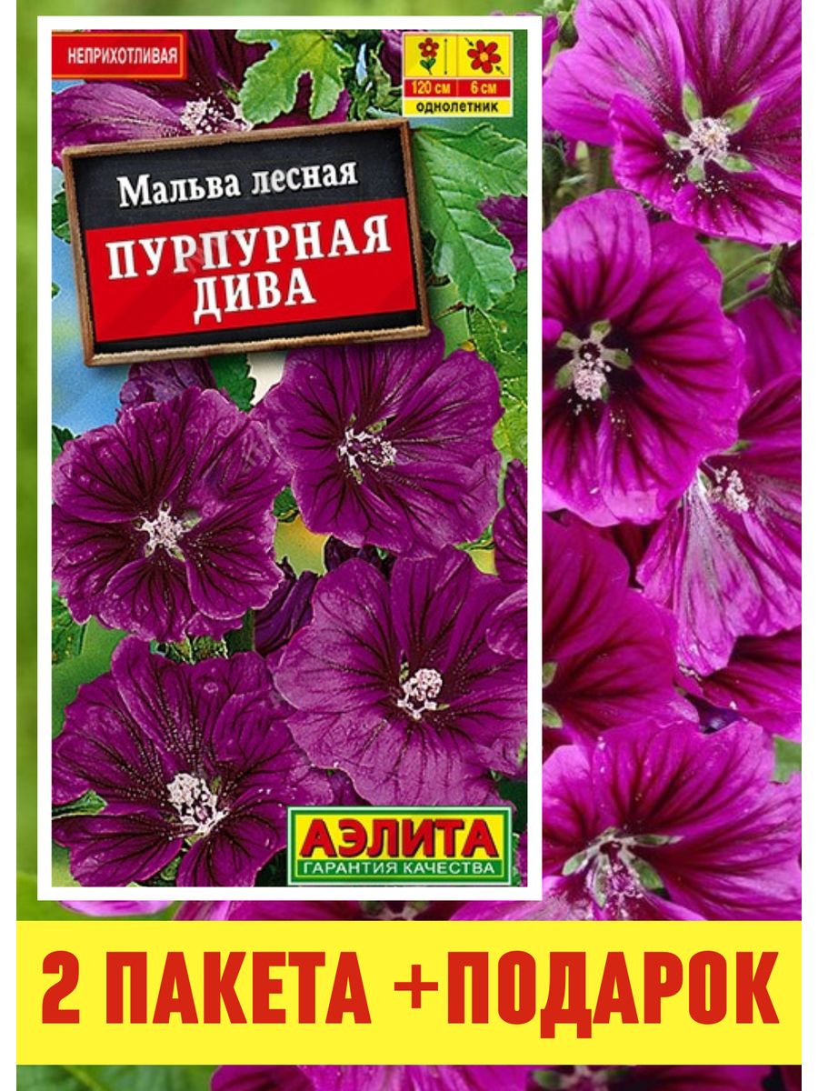 Семена цветов однолетников, Мальва Пурпурная дива 2 шт Агрофирма Аэлита  174943305 купить за 180 ₽ в интернет-магазине Wildberries