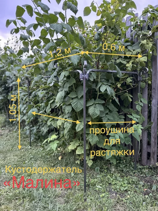 Железное дело Кустодержатель для малины стартовый, серый, фото 2