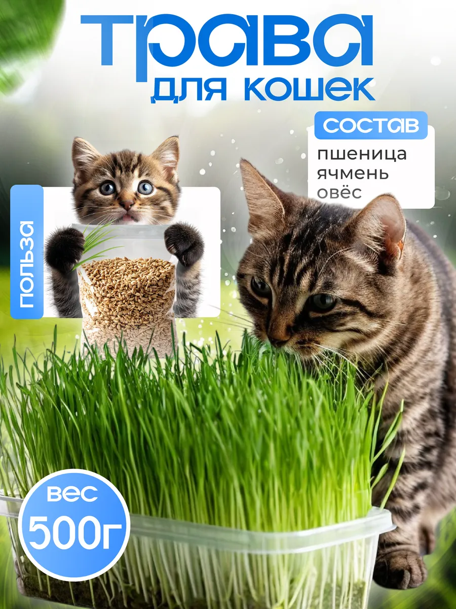 Трава для кошек, собак и грызунов для проращивания 500 грамм