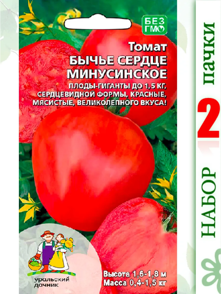 Минусинский томат бычье сердце описание. Томат минусинский кистевой. Минусинский томат бычье сердце описание. Бычье сердце кистевое минусинское. Бычье сердце кистевое минусинское.