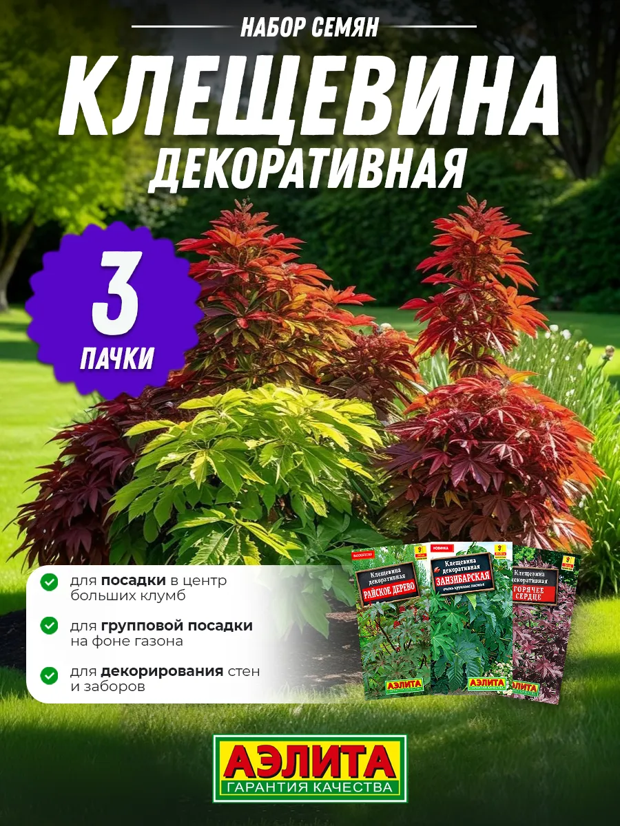 Семена Клещевины - 3 шт