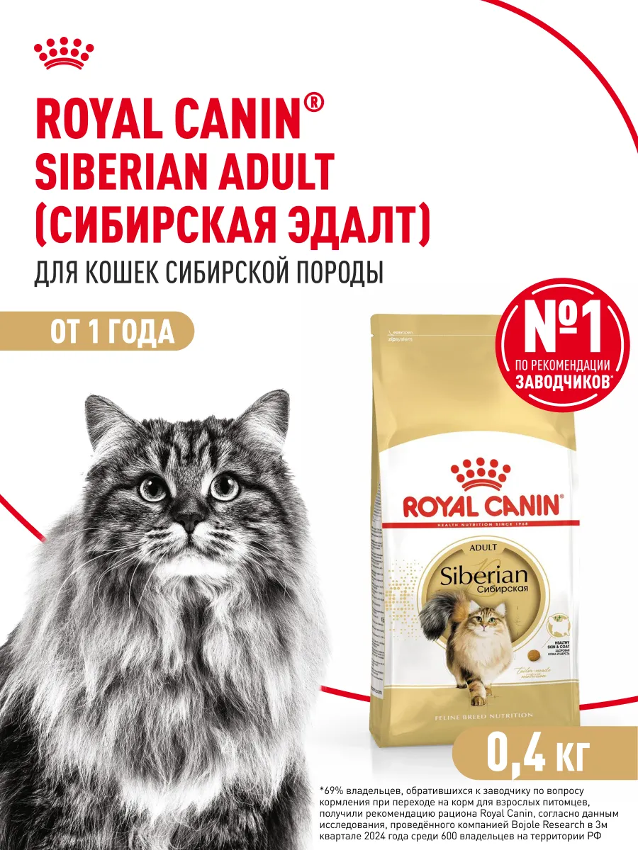Royal Canin Maine Coon 2 Кг Купить