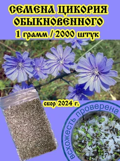 Семена цикория обыкновенного 2000 штук (1 грамм) Семена цикория 174984674 купить за 340 ₽ в интернет-магазине Wildberries