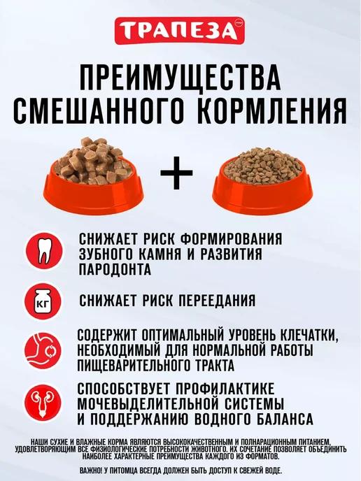 Сухой корм ТРАПЕЗА Активных Active для собак, средние, 2,5 кг, фото 4