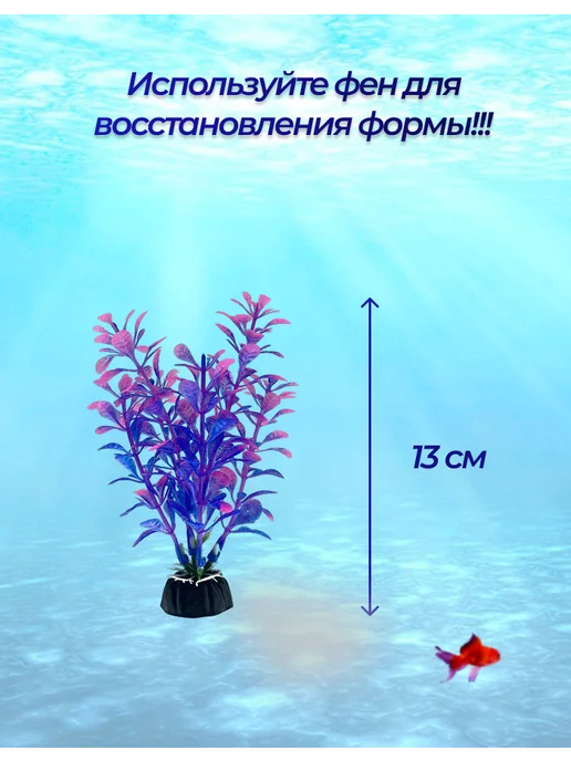 Внукова Т.Н. Растение для аквариума, красный, фото 3