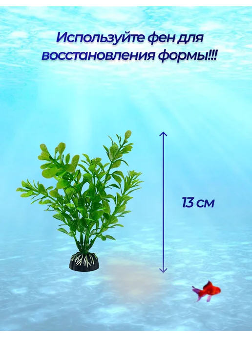 Внукова Т.Н. Растение для аквариума, красный, фото 4