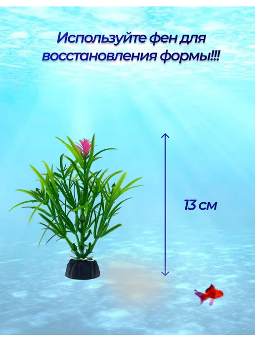 Внукова Т.Н. Растение для аквариума, красный, фото 5
