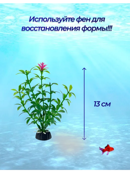 Внукова Т.Н. Растение для аквариума, красный, фото 6