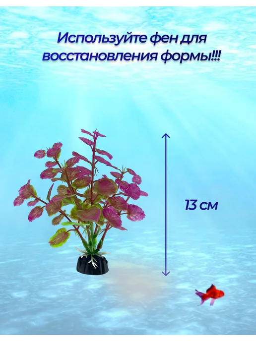 Внукова Т.Н. Растение для аквариума, красный, фото 8