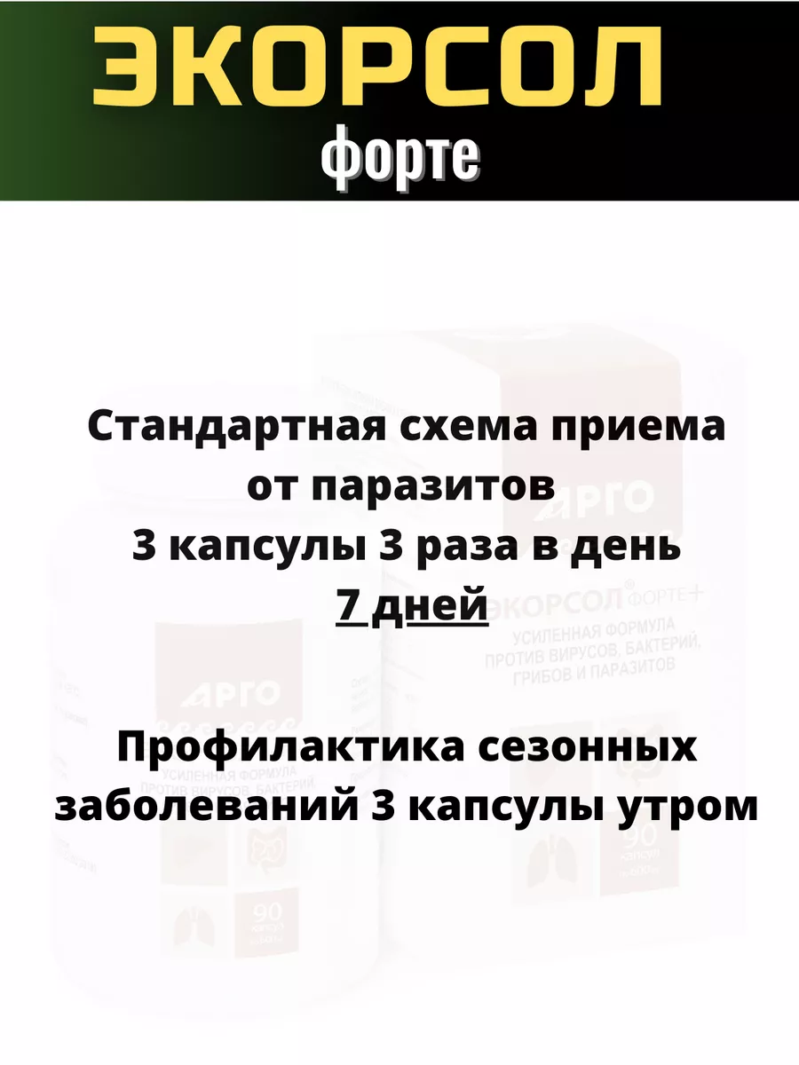 Экорсол форте БАД для печени от описторхоза желчегонное Биолит 174993674  купить за 1 646 ₽ в интернет-магазине Wildberries